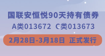 國聯(lián)安恒悅90天持有債券MG動畫